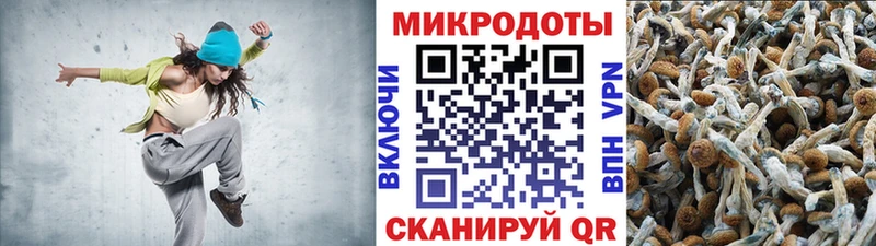 Галлюциногенные грибы MAGIC MUSHROOMS Калининск
